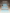eufy-luftfilter-f-r-babyflaschen-sp-ler-2er-pack image 3